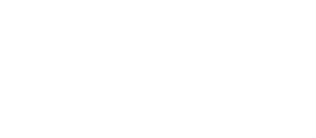 logo borbolet horizontal blanco